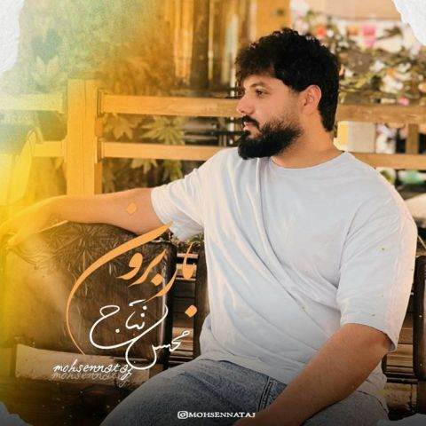 دانلود آهنگ محسن نتاج به نام بار برون